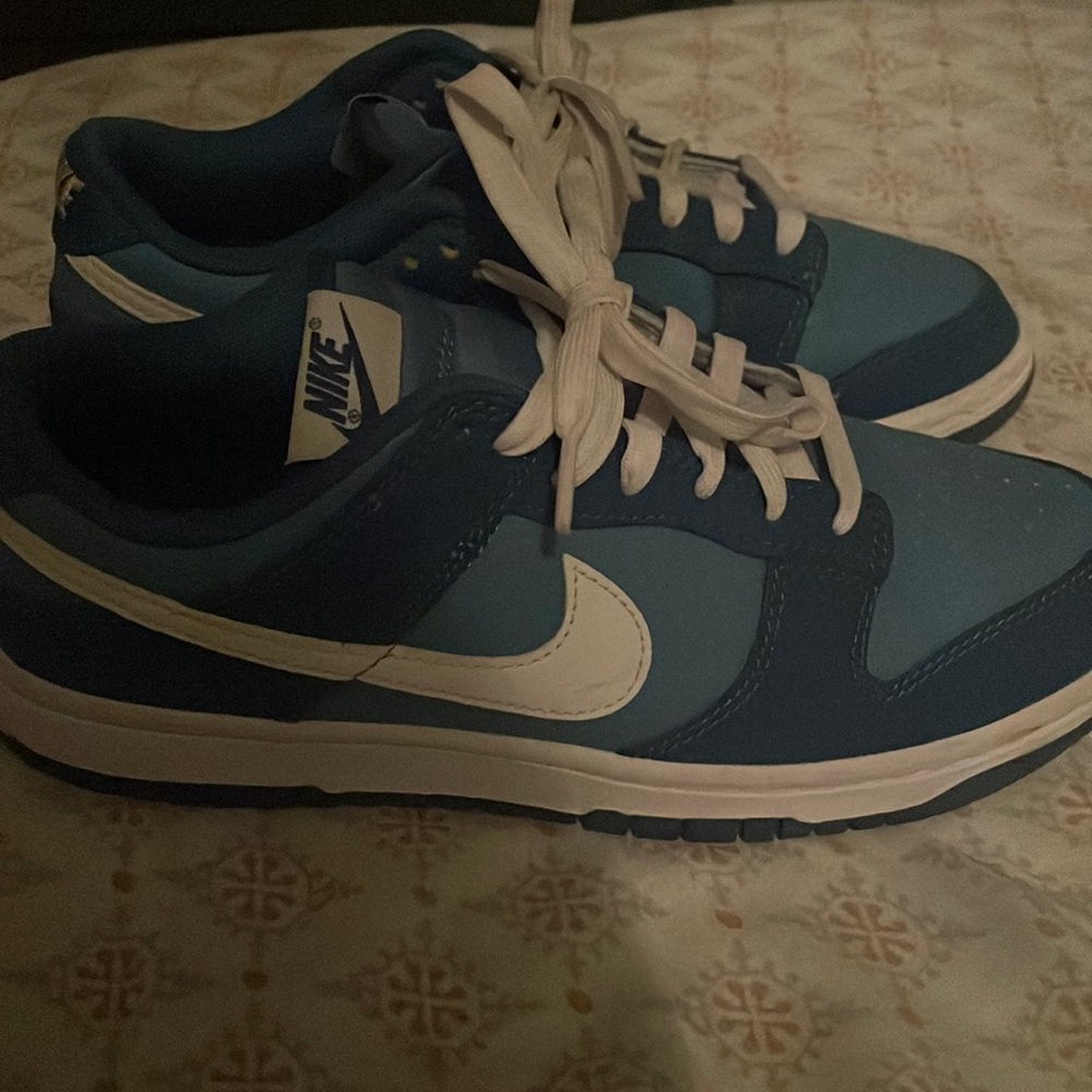 Nike dunks low top